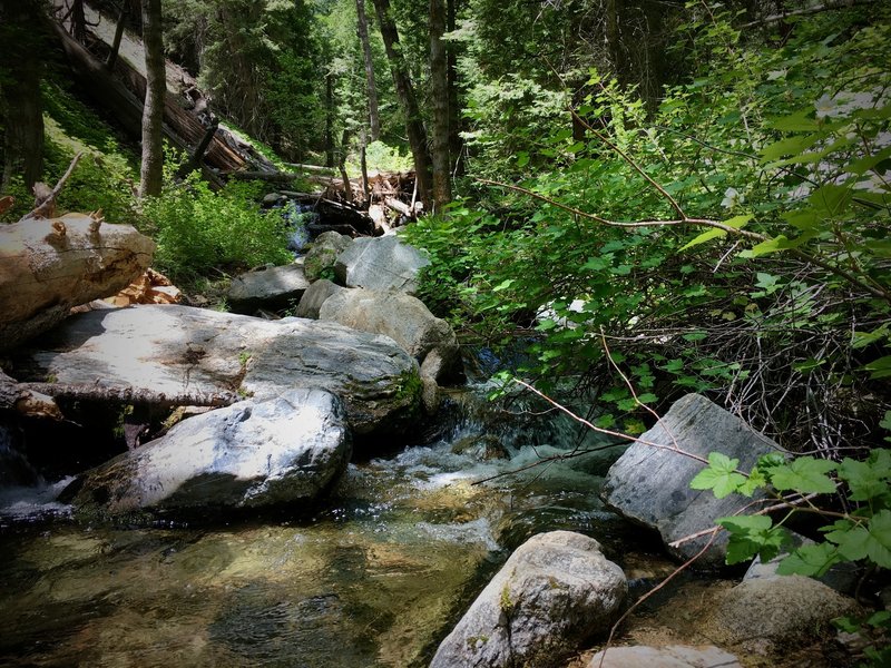 Stream crossing and waterfall.