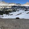 Marmot walking across the top of the Sheep Steps, looking into Alaska Basin. Buck Mountain in upper right corner. June 2020.