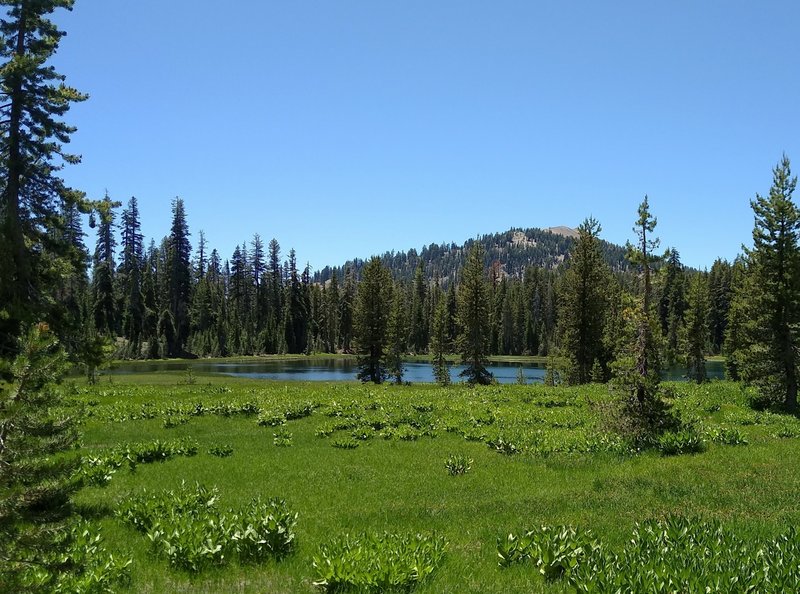 Approaching tiny Crumbaugh Lake on Crumbaugh Lake Spur, Mt. Conard, 8,204 ft., is on the far side of Crumbaugh Lake.