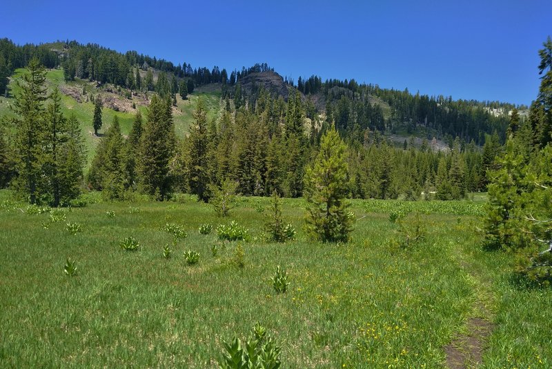 The southwest slopes of Bumpass Mountain, 8.753 ft., are ahead when walking north on Crumbaugh Lake Spur.