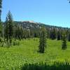 Mt. Conard, 8,204 ft., rises above Conard Meadows when looking south on Crumbaugh Lake Trail.