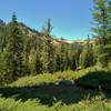 The rugged mountains of Lassen Volcanic National Park are seen through the beautiful fir forest of Crumbaugh Lake Trail.