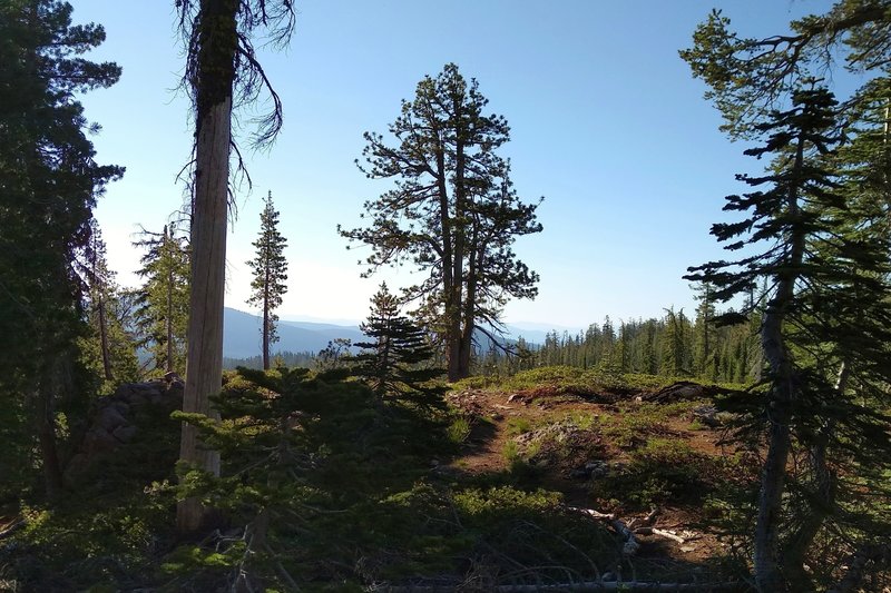 Glimpses of the distant mountains, looking east through the fir forest high on Kings Creek Trail early in the morning.