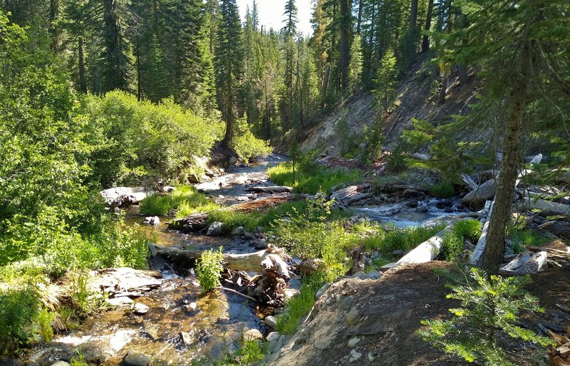 An unamed creek (left foregroud) is crossed by Kings Creek Trail here (no bridge :>), just before it flows into Kings Creek (on the right and in the center).