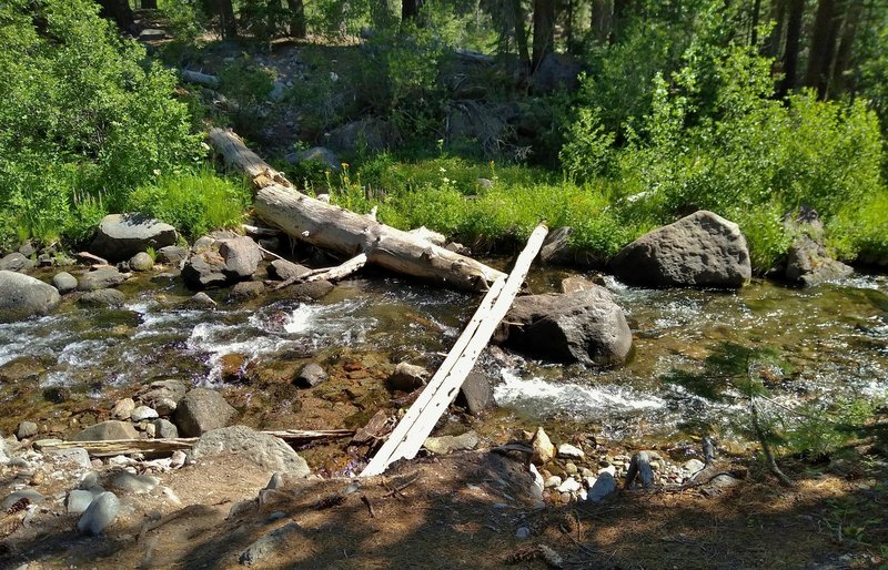 "Bridge" across Kings Creek along Kings Creek Trail deep in the backcountry.