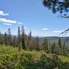 Views into the far distance to the east, as the trees thin high on Bench Lake Trail.