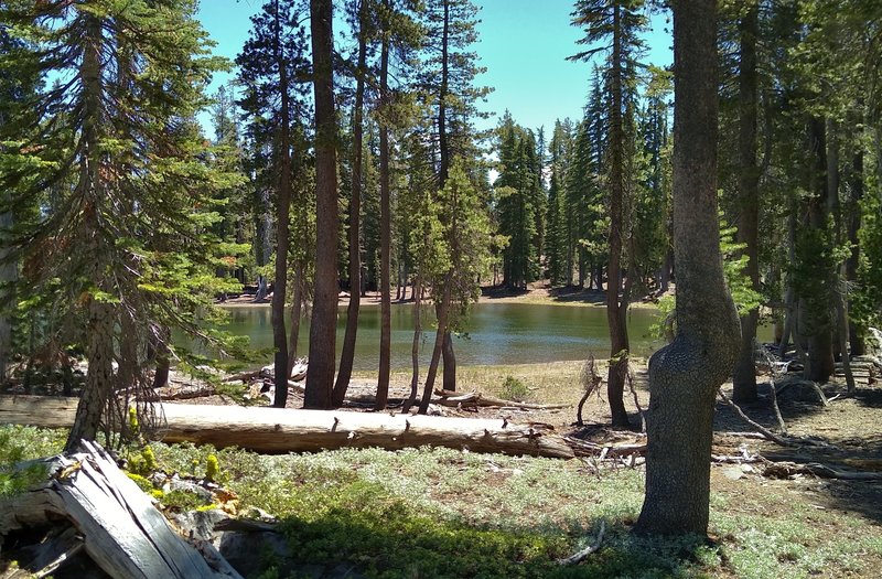 Tiny Bench Lake along Bench Lake Trail.