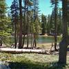 Tiny Bench Lake along Bench Lake Trail.