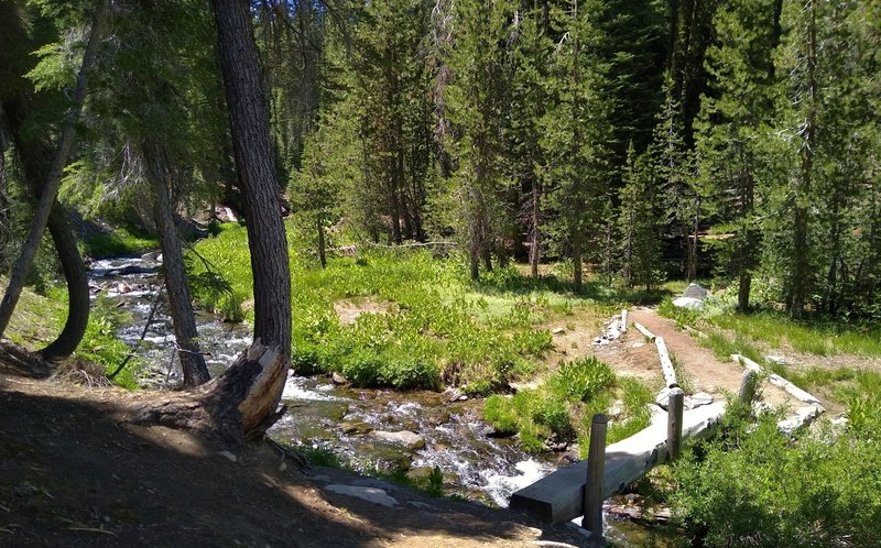 Kings Creek is crossed by Bench Lake Trail near its junction with Kings Creek Trail.