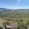 Panoramic view of the burn.