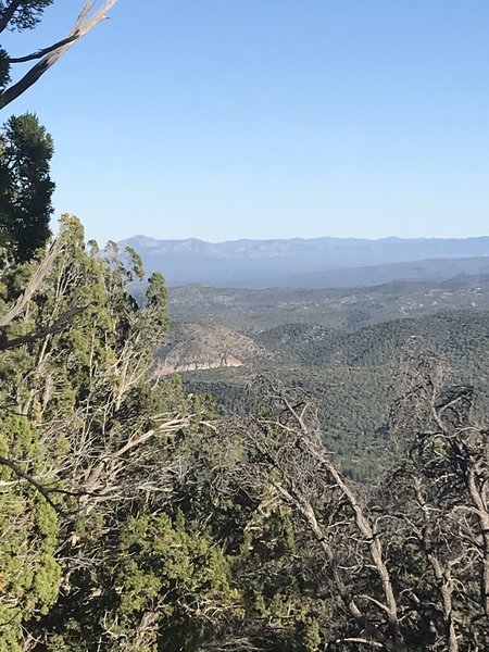 Near the top of Juniper Mesa.