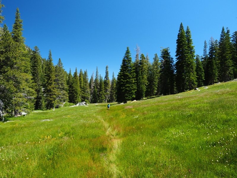 One of the several meadows the trail crosses on its way to the lake.