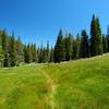 One of the several meadows the trail crosses on its way to the lake.