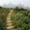 Foggy stairs