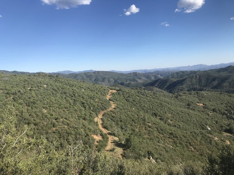 Not too far from the bottom of Mt. Francis looking down at the trail.