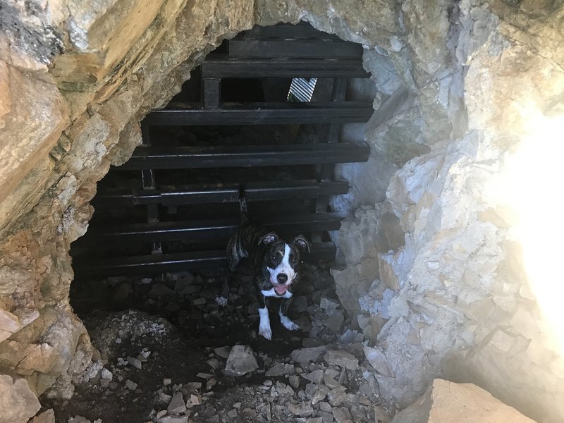 Random cave on the side of the trail. About halfway up—you can't miss it.