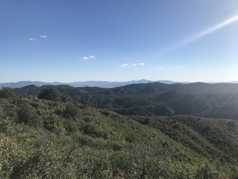 About 3/4 the way up. Big views on either side of the trail.