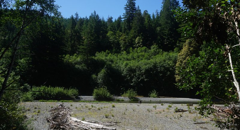 Redwood Creek from the Tall Trees Grove Trail.