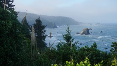 The coast to the south from Palmer's Point.