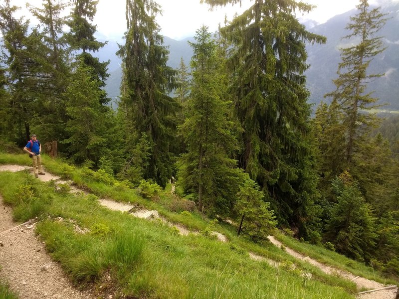 Trail down from Toter Mann Peak.