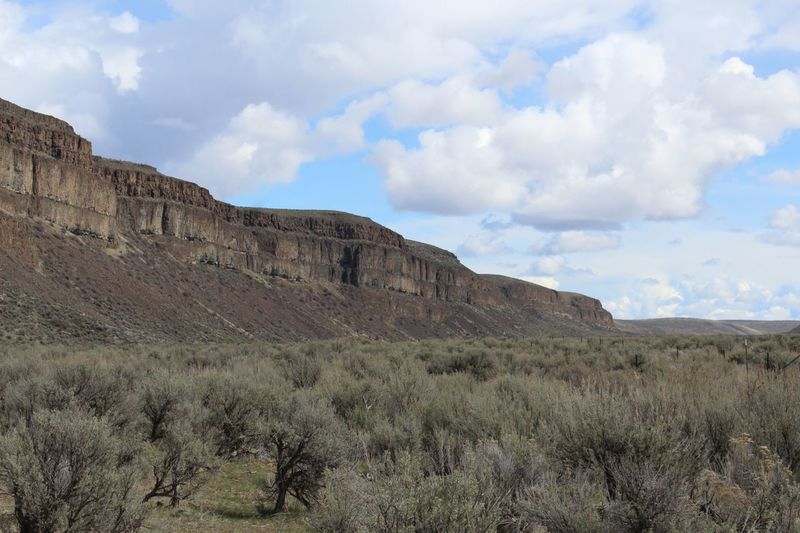 View of Moses Coulee Wall from Dutch Henry Falls Trail.