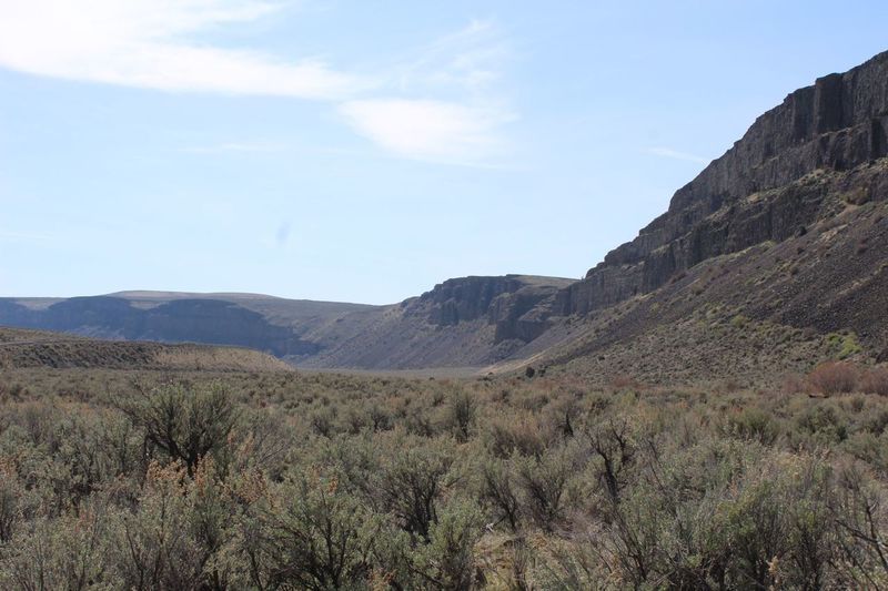 Southwestern view of Moses Coulee Wall from Dutch Henry Falls Trail.