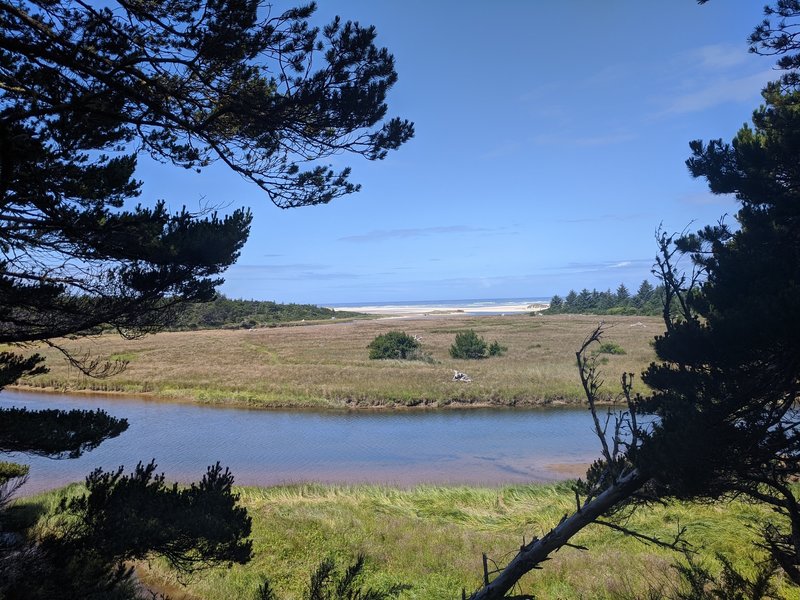 First grand view of the ocean.