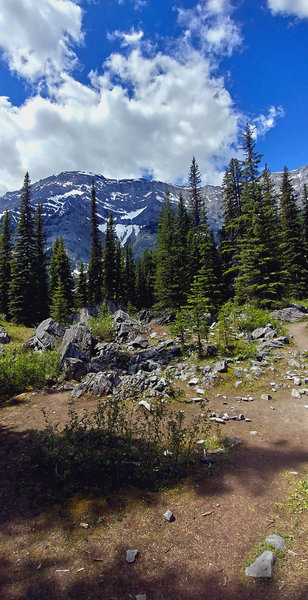 Views from the Black Prince Interpretive Trail, nearing Warspite Lake.