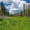 Looking towards the Beaver Ponds from the bridge.