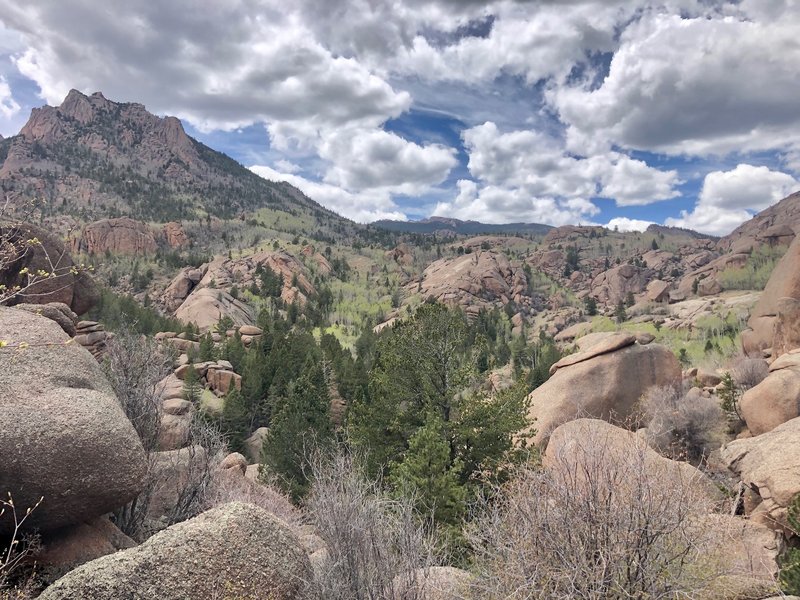 Looking back at Bison Peak.