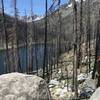 Burned Area at end of Eightmile Lake