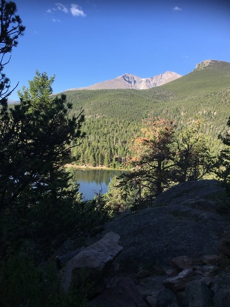 Longs Peak from Lily Ridge Trail.