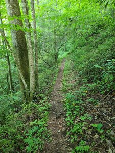 Deep Creek Trail