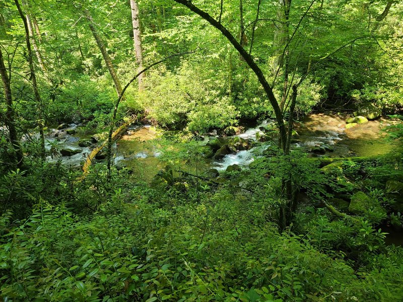 Deep Creek on the Deep Creek Trail