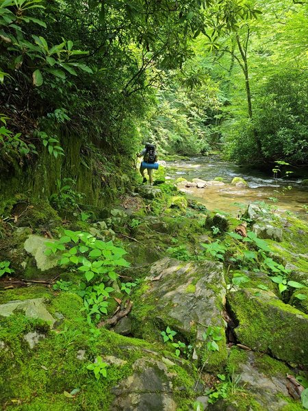 Rock hopping on the Deep Creek Trail.