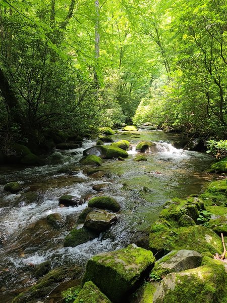 Deep Creek Trail