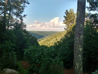 One of the few vistas still visible when the STS is overgrown in the summer