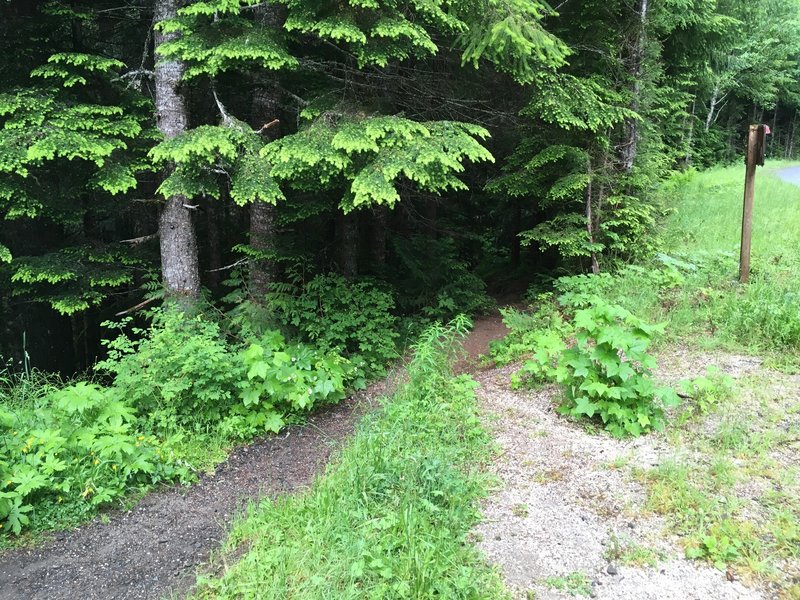 Trailhead to Iron Creek Falls