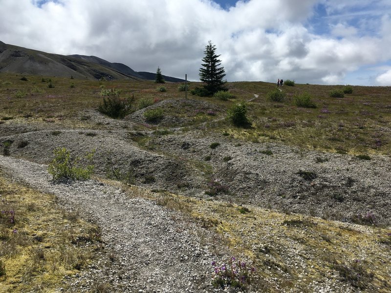 Volcanic landscape