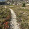 Flowers lining the trail