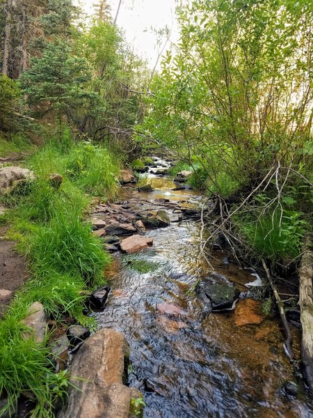 Flowing creek alongside most of trail