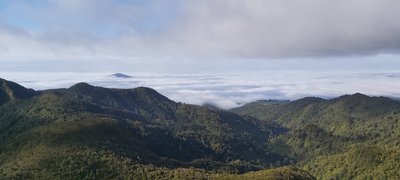 Kakipuku from Pirongia Summit.