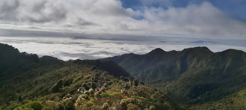 From the Helipad on the Cone of Pirongia looking north.