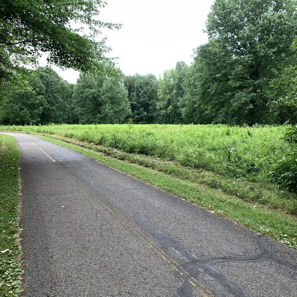 Looking westward along the south side of the loop