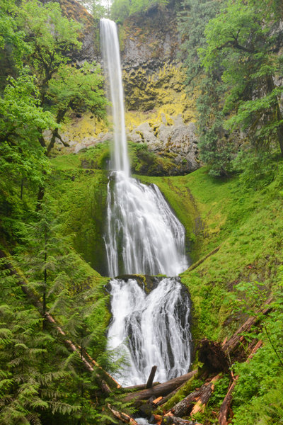 Vibrant moss helps Pup Creek Falls really pop.