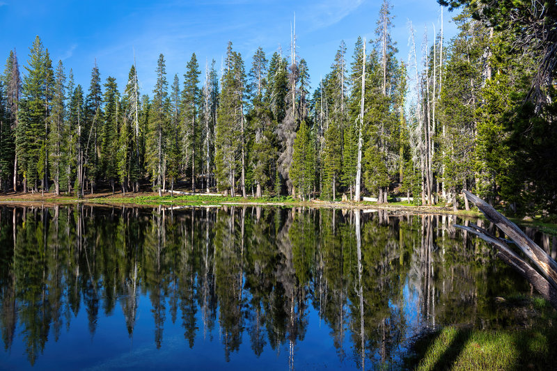 Morning reflections in Summit Lake