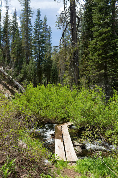 One of many small bridges across Grassy Creek