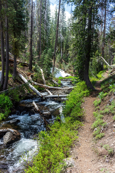 The trail closely parallels Grassy Creek