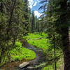 Grassy Creek winds through the meadow