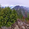 View looking N-NE from the summit.  Trail goes around the tree, slightly left, then switchbacks down.